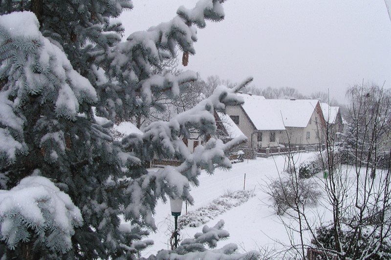 16. Jänner 2003 - Blick von unsere Loggia - starker Schneefall - Foto JoSt