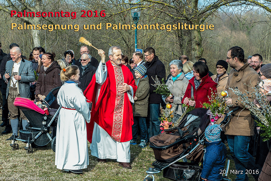 Palmsonntag 2016 in der Pfarre Katzelsdorf; Foto: Ing. Paul Draxler, Fotobearbeitung und Fotoalbum Josef Strassner © 2016